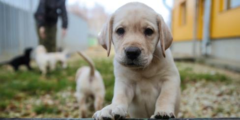 Валерий Шарифулин/ ТАСС