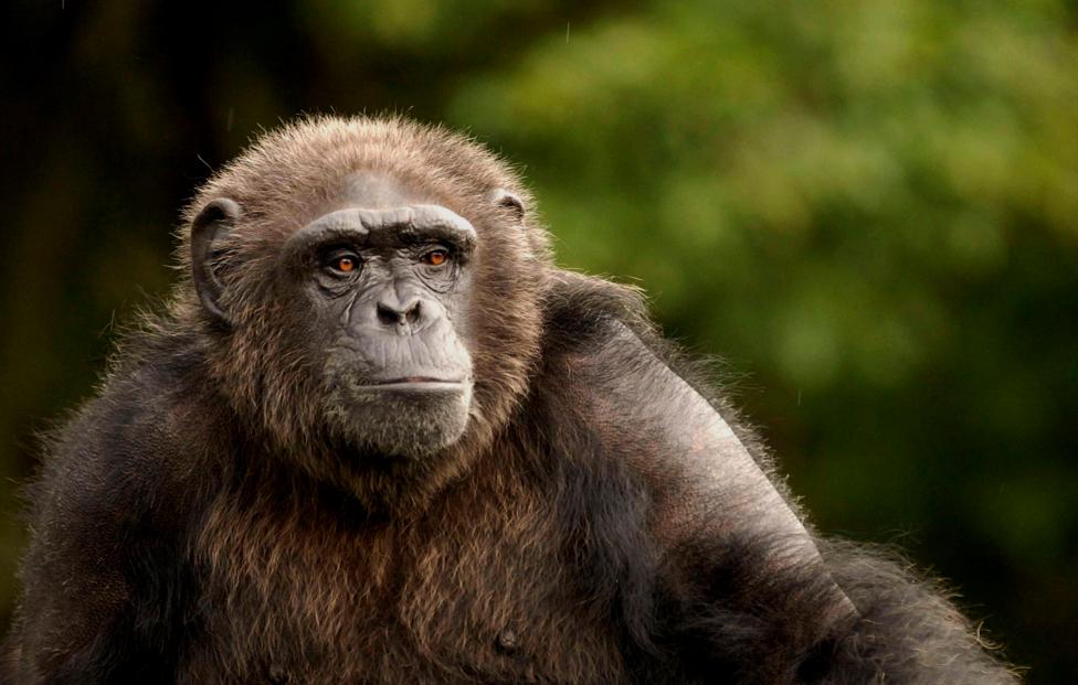  EPA/ Edgar Domínguez