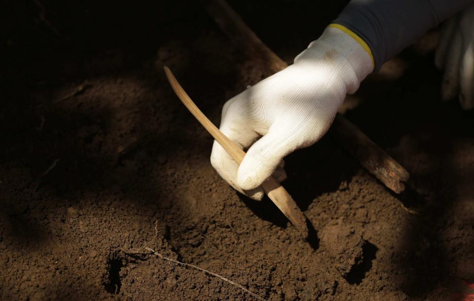  EPA-EFE/ RODRIGO SURA