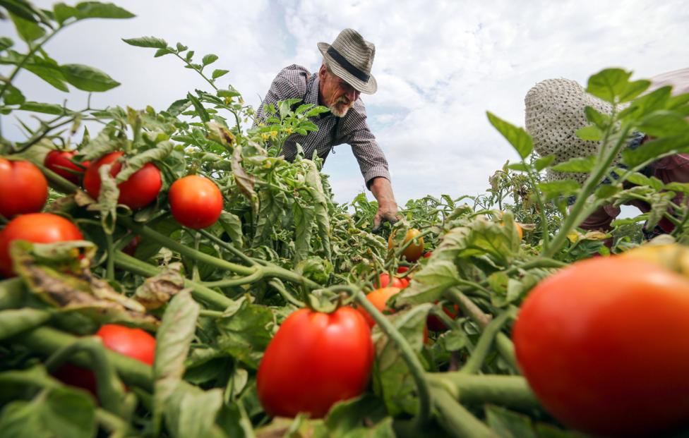Валерий Матыцин/ ТАСС