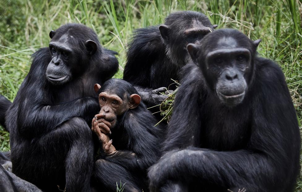  EPA-EFE/ HUGH KINSELLA CUNNINGHAM