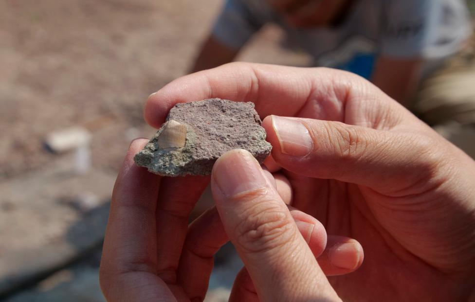  AP Photo/ Sam McNeil