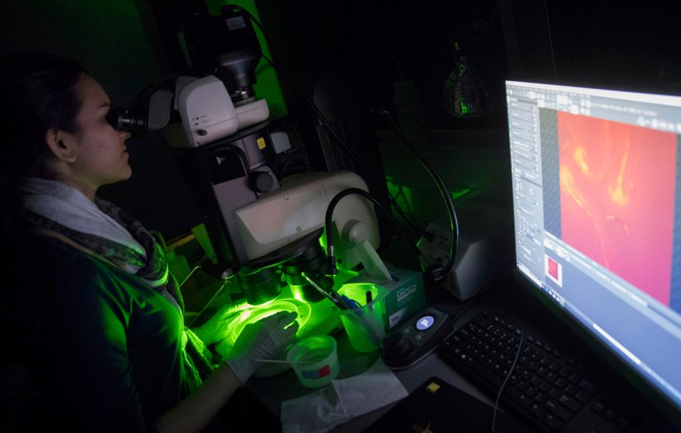  AP Photo/ Mary Altaffer