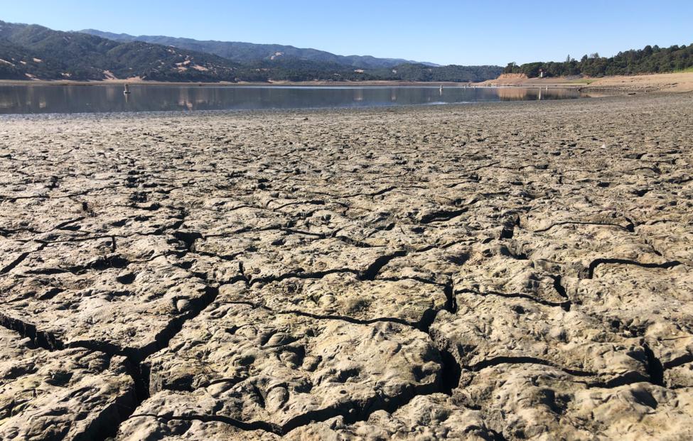 AP Photo/ Haven Daley