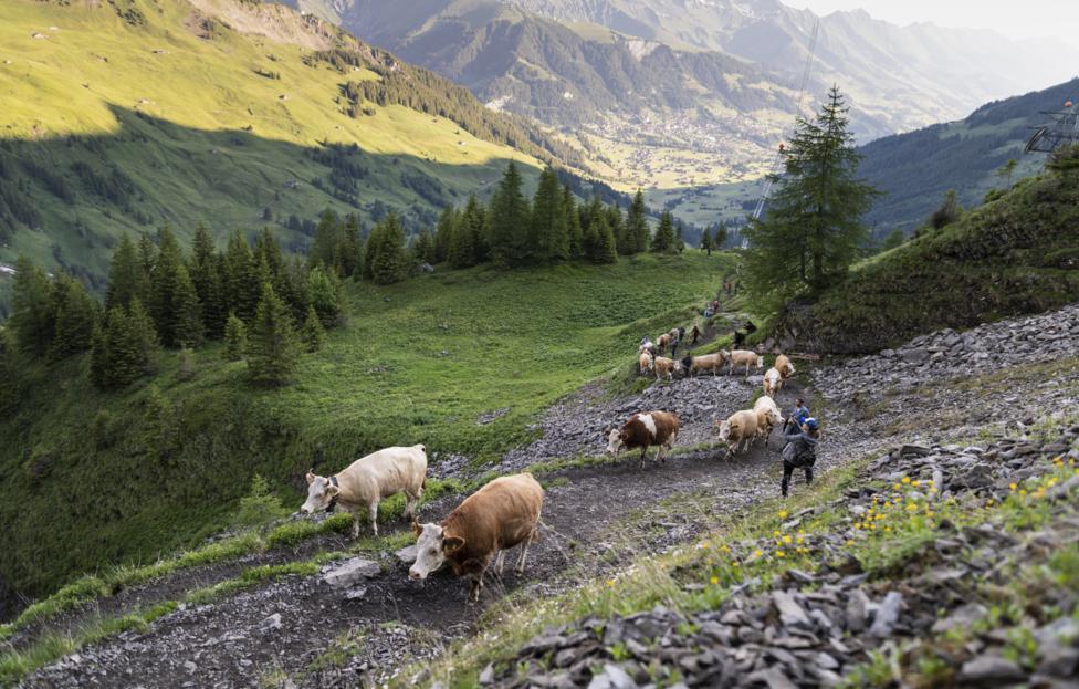  EPA-EFE/ ALESSANDRO DELLA VALLE