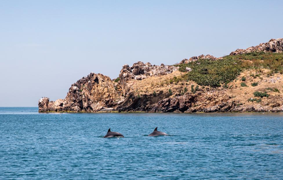  Onur Dogman/ SOPA Images/ Sipa U via Reuters Connect