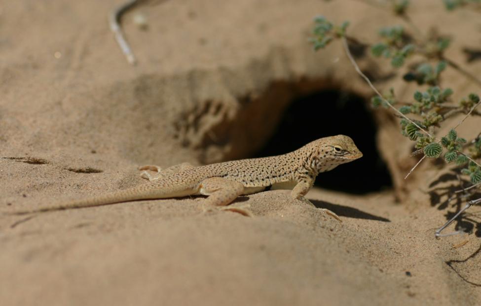  Michael Benard/ Shutterstock/ FOTODOM