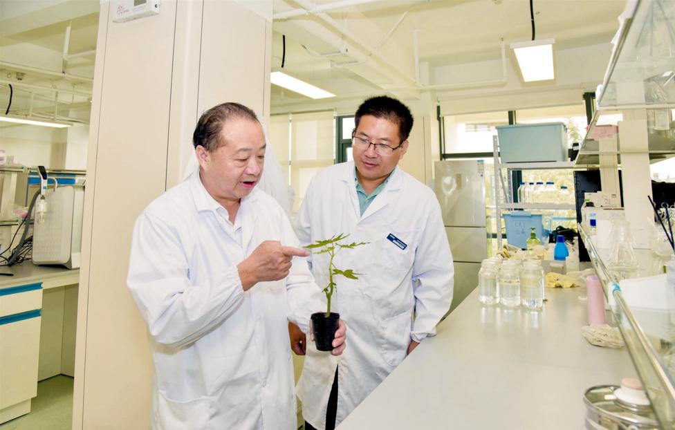 Замглавы академии тропических наук Го Аньпин (слева) Лю Цичэн/ Санья Жибао
