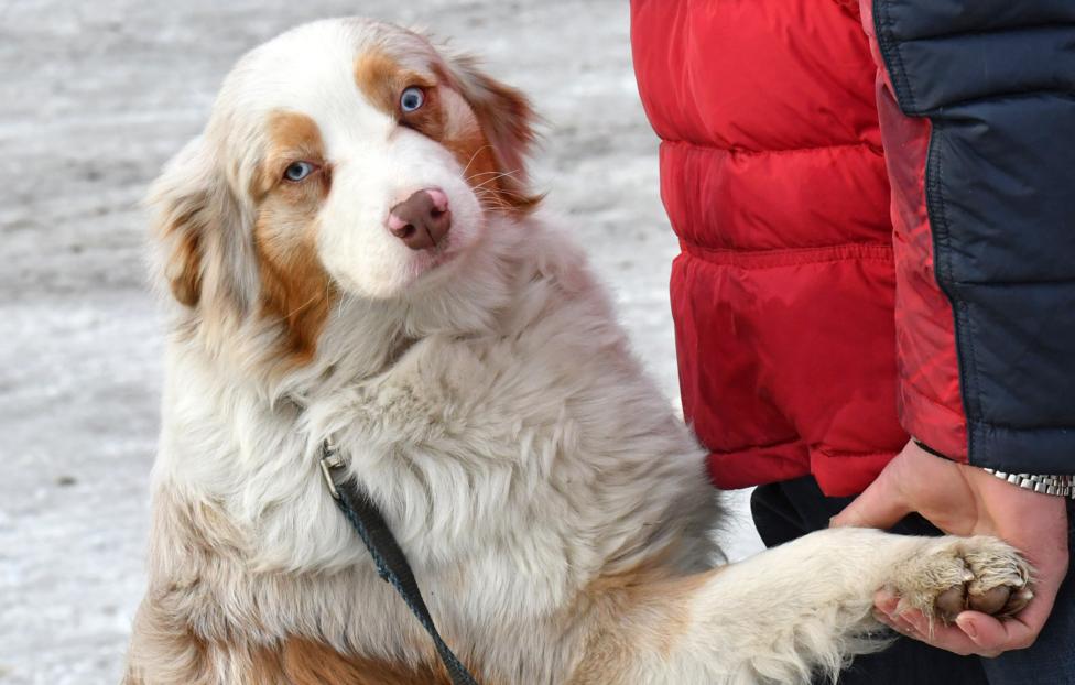  Александр Колбасов/ ТАСС