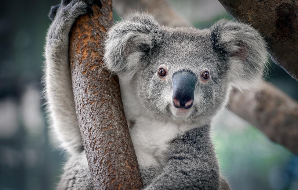  Yatra/ Shutterstock/ FOTODOM