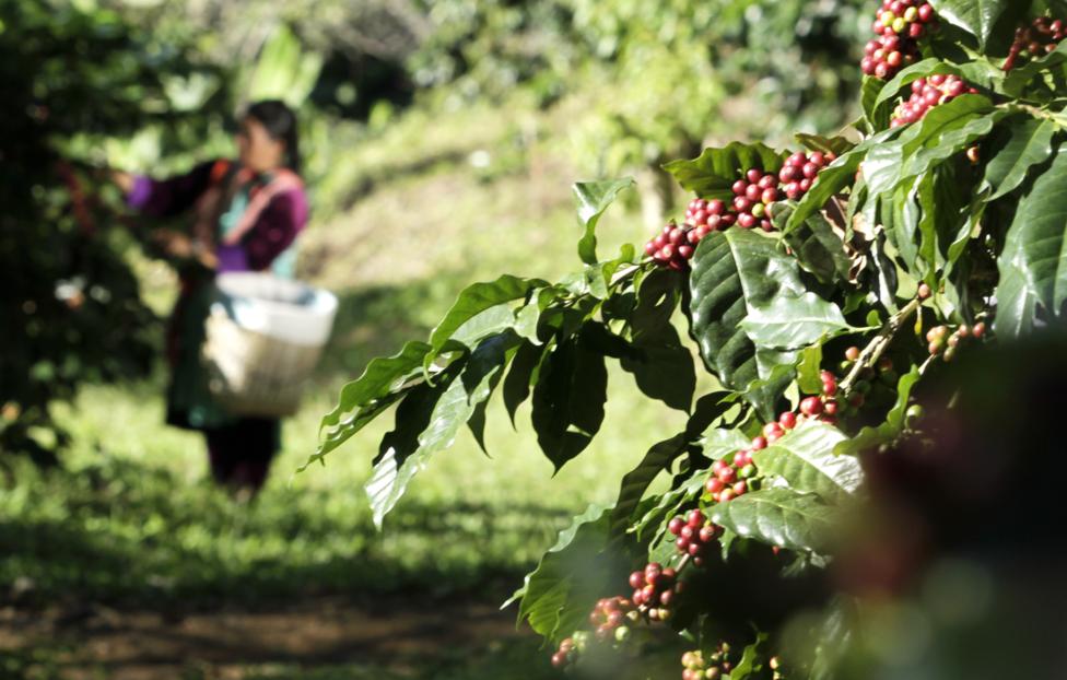  EPA/ PONGMANAT TASIRI