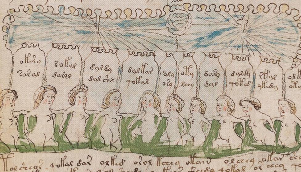 Одна из иллюстраций из рукописи Войнича Beinecke Rare Book & Manuscript Library / Yale University