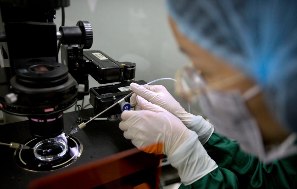  AP Photo/ Mark Schiefelbein