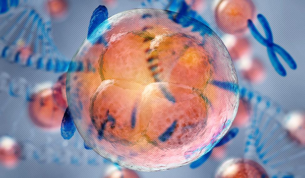  nobeastsofierce / ustas7777777 / Shutterstock