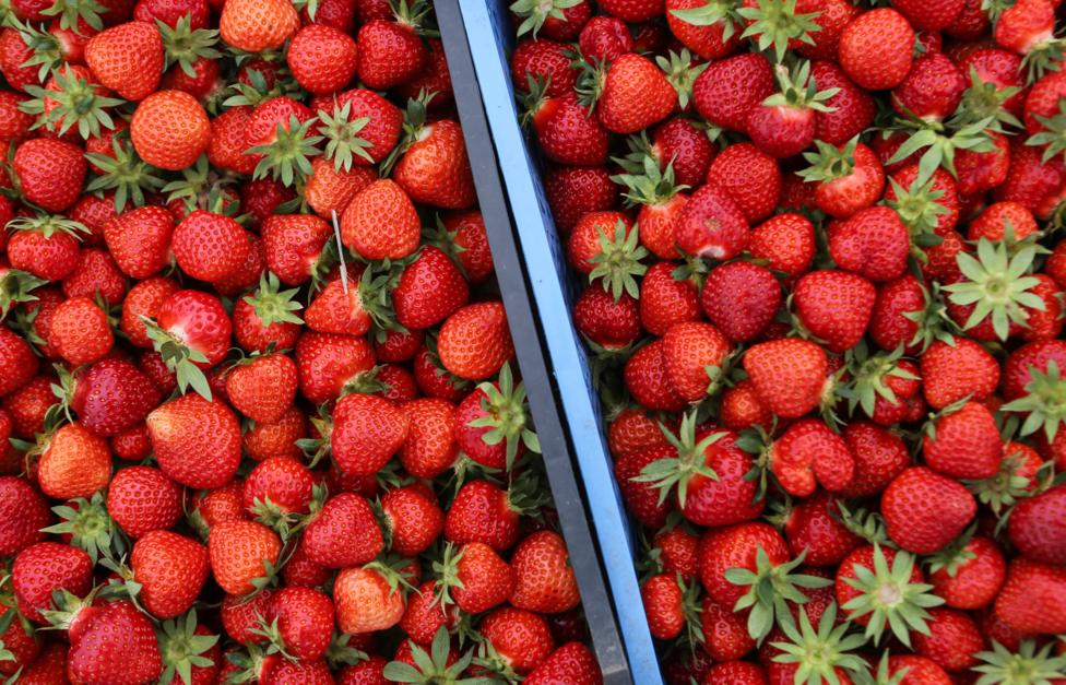 Денис Абрамов/ ТАСС