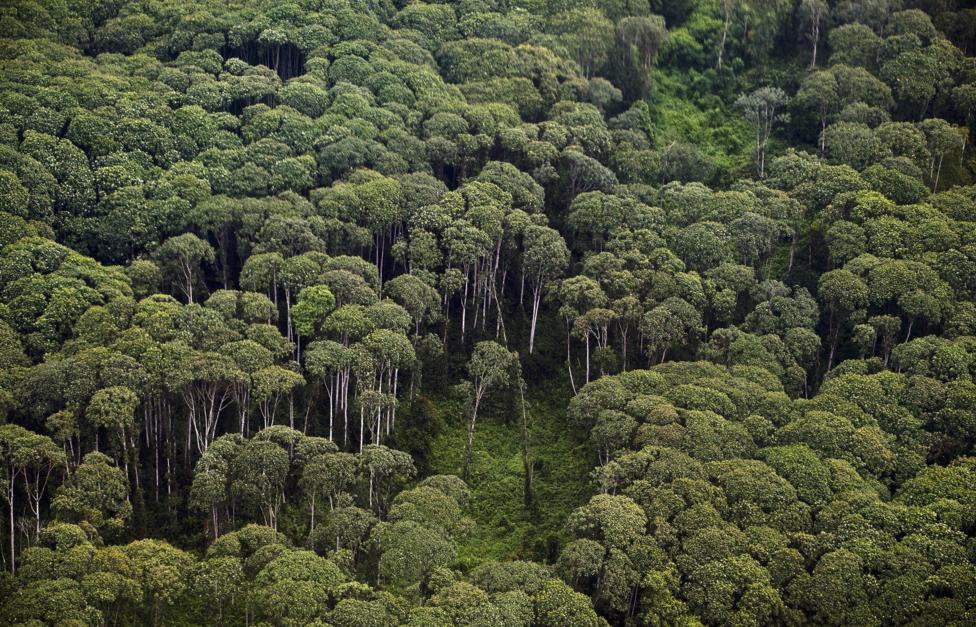  Ulet Ifansasti/ Getty Images