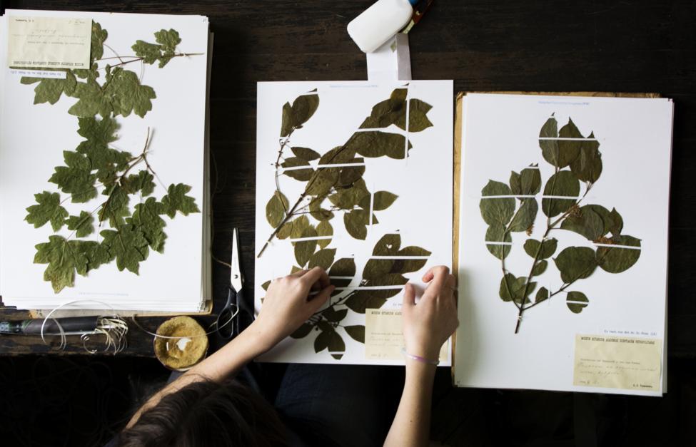 Пресс-служба МГУ