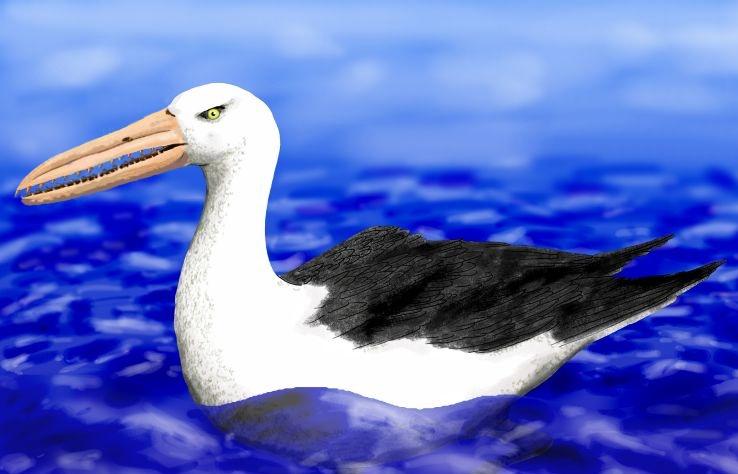 Вид ложнозубых птиц Pelagornithidae wikipedia.org/ Nobu Tamura
