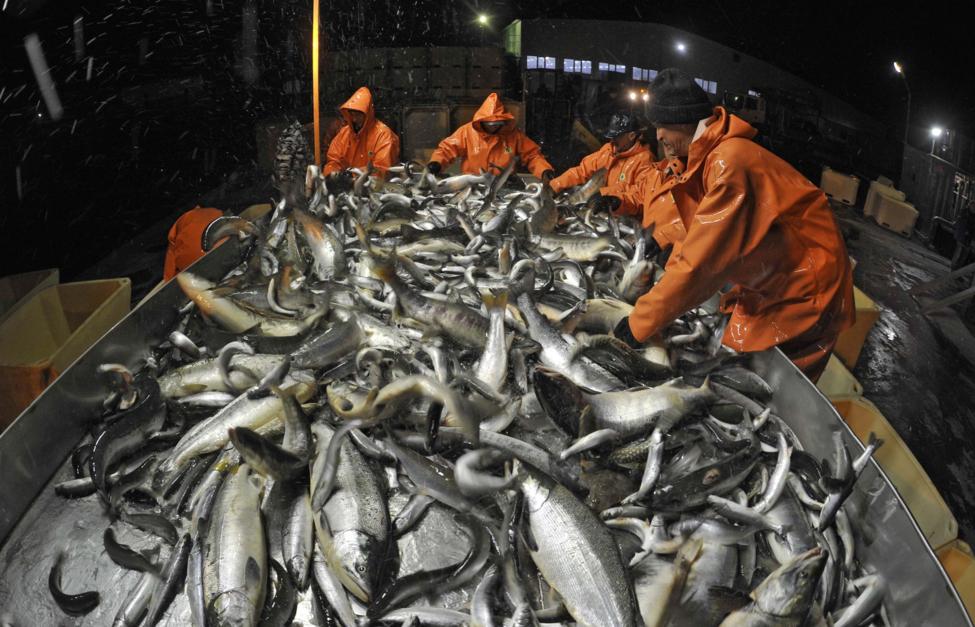  Александр Петров/ ТАСС