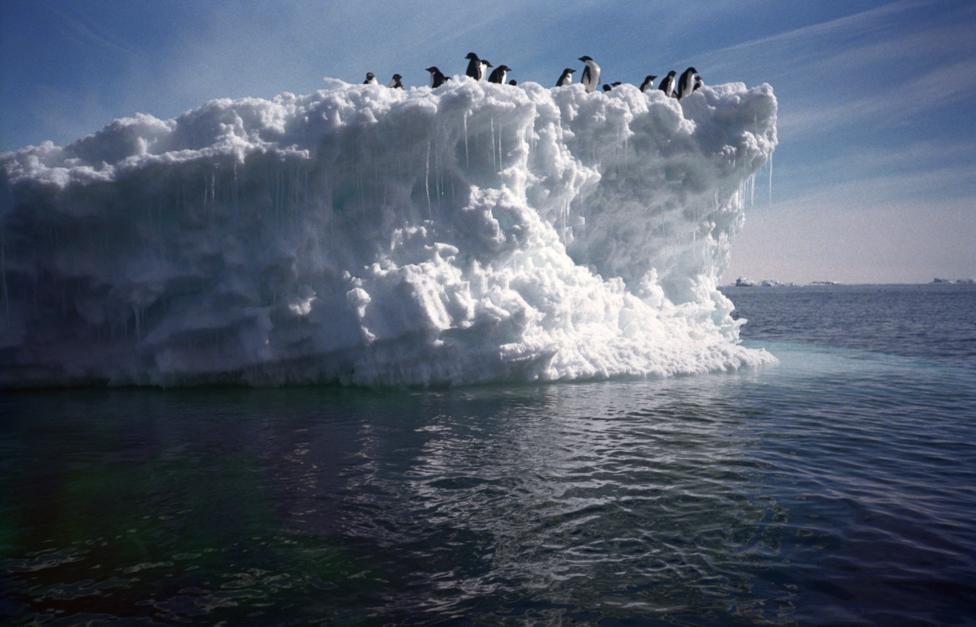  Тимур Еникеев/ ТАСС, архив