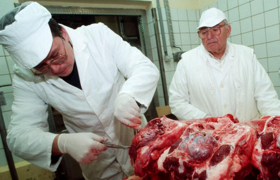  Архив AP Photo/ MTI/ Tibor Olah