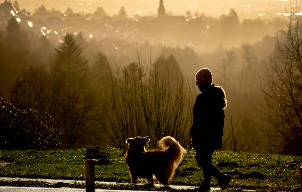  AP Photo/ Michael Probst