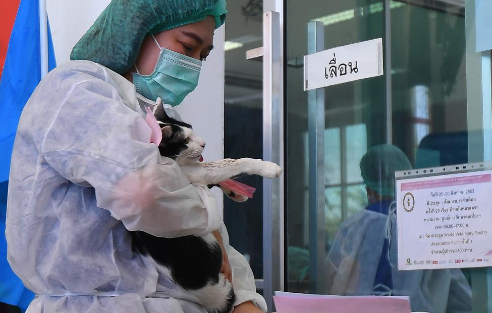  Vachira Vachira/ NurPhoto via Getty Images