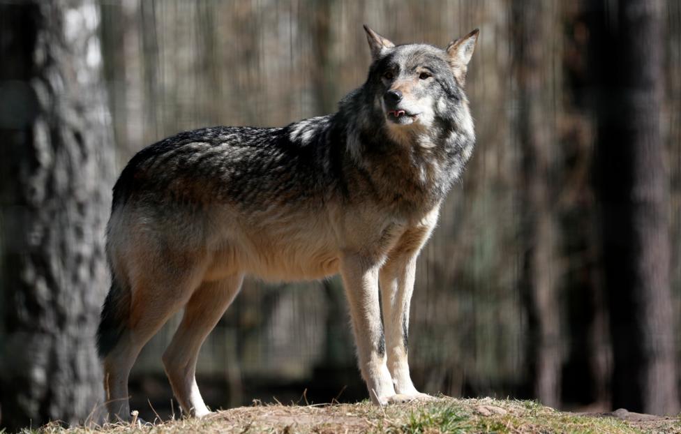  Наталия Федосенко/ ТАСС