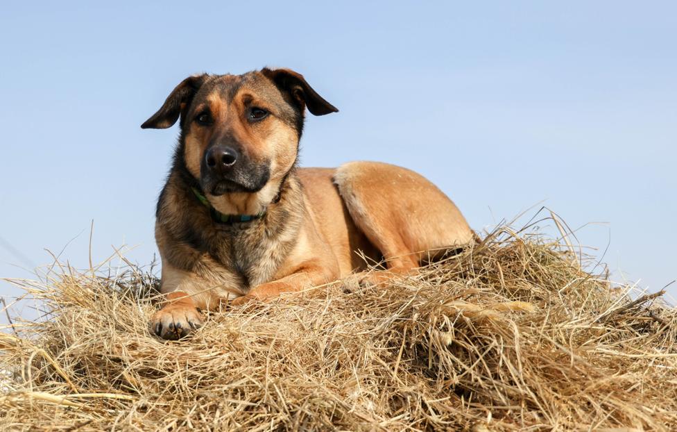  Юрий Смитюк/ ТАСС