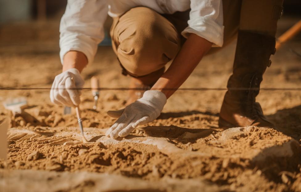  Gorodenkoff/ Shutterstock/ FOTODOM, архив