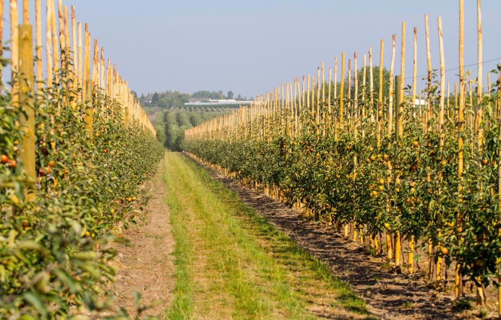  EPA/ MICHAL WALCZAK