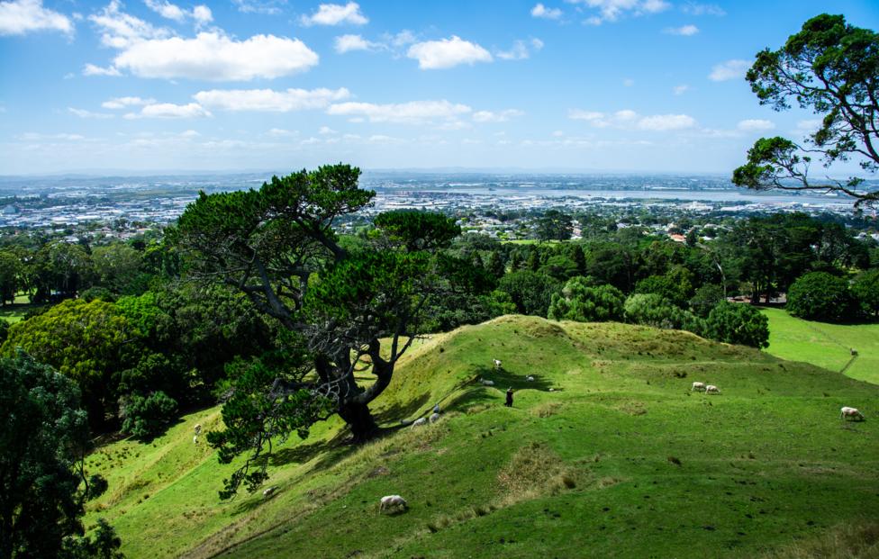  Elli Olausson / Shutterstock/ FOTODOM