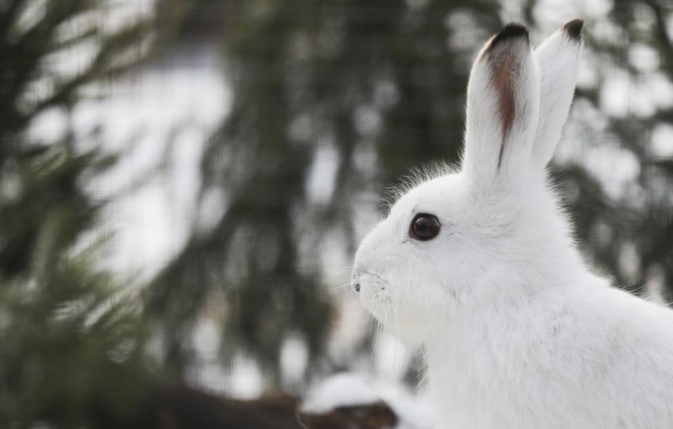  Сергей Карпухин/ ТАСС