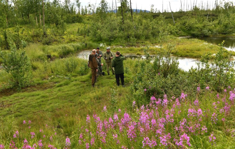  Пресс-служба Большой научной экспедиции