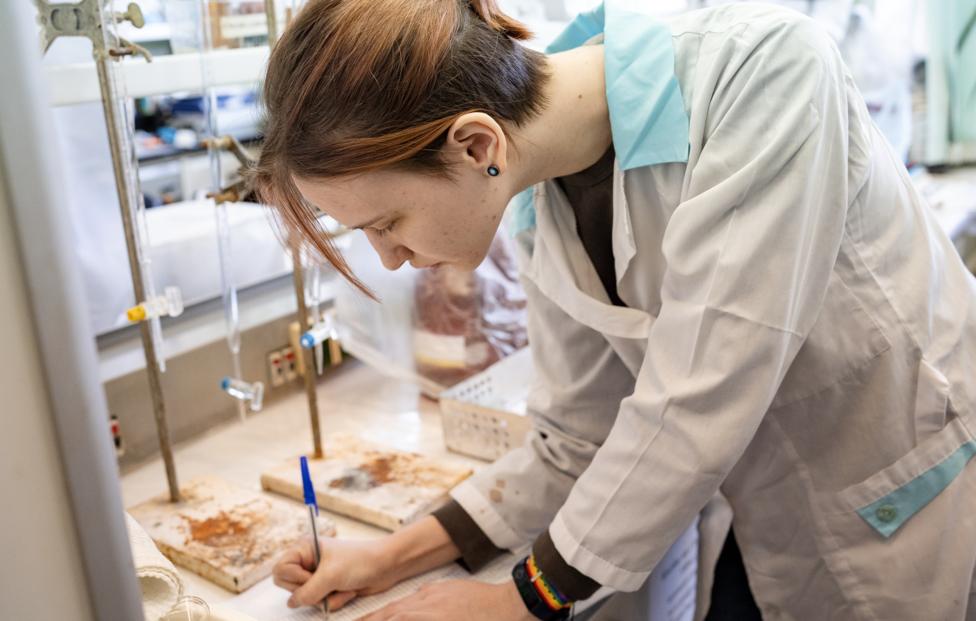  Пресс-служба Большой научной экспедиции