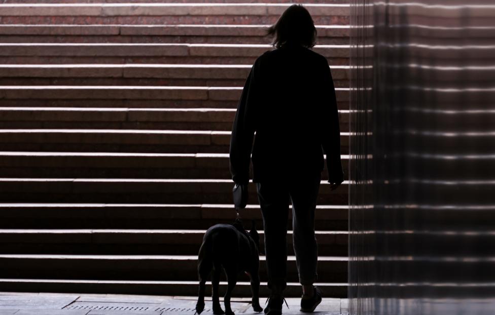 В России предложили ввести штрафы за пропаганду жестокого обращения с животными