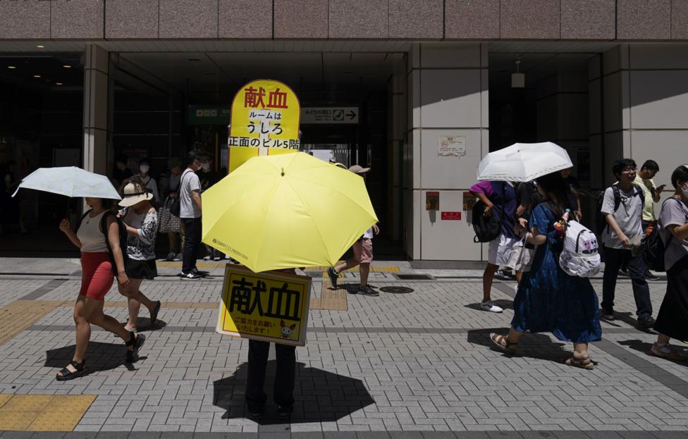 В Токио зафиксировали самую высокую температуру для ноября за 100 лет