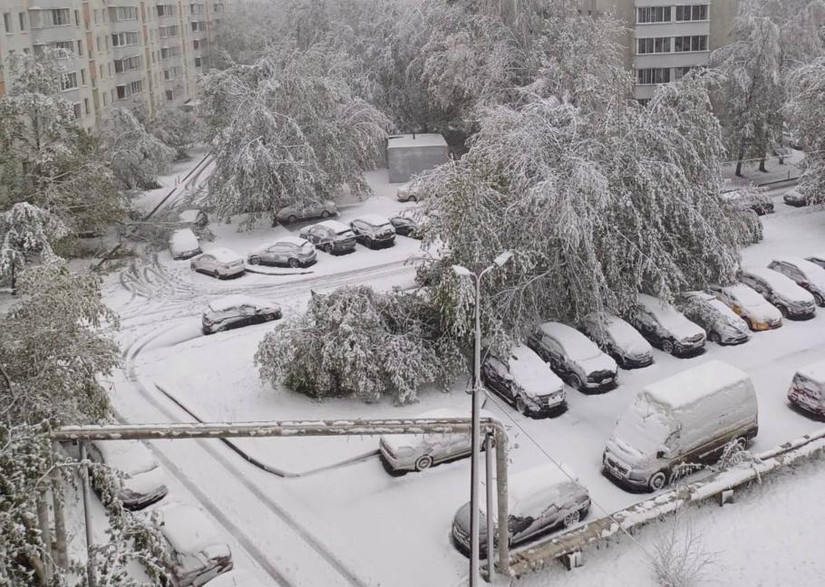 ТАСС