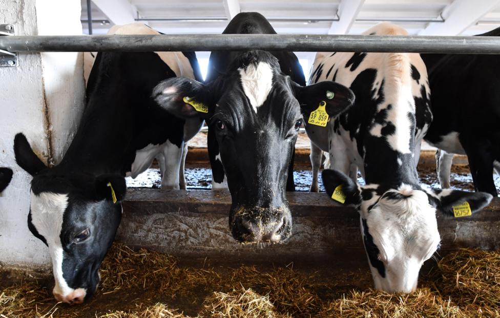  Кирилл Кухмарь/ ТАСС