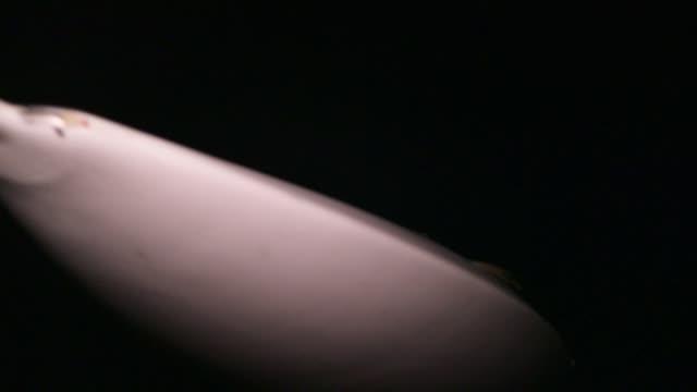  Минобороны России