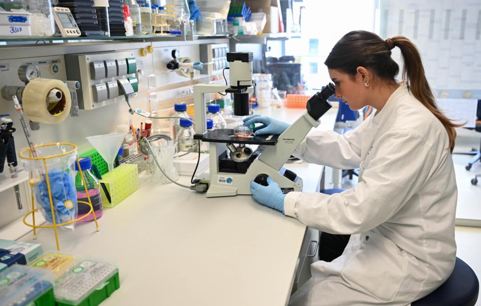 Bernd Weißbrod/ picture alliance via Getty Images