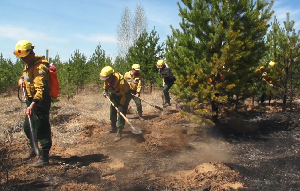  Авиалесоохрана РФ/ ТАСС