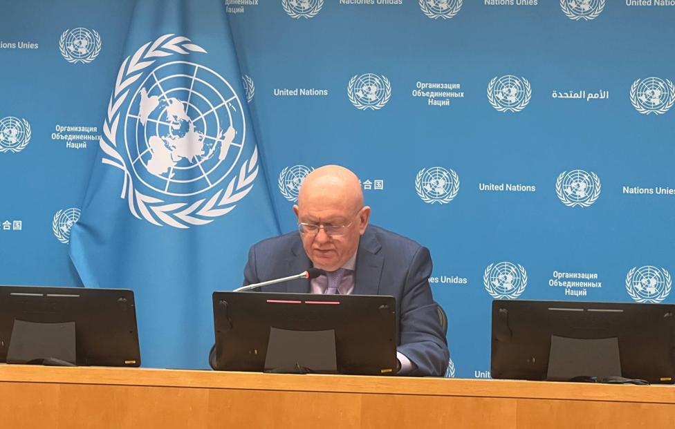 Постоянный представитель России при ООН Василий Небензя Денис Соловых/ ТАСС