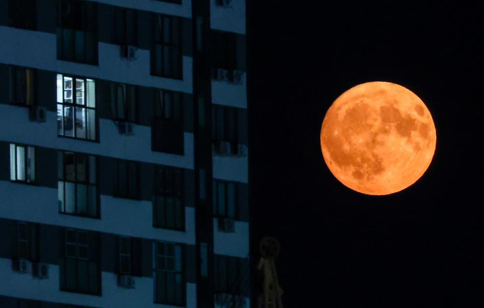  Александр Рюмин/ ТАСС