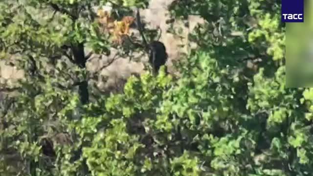  Минобороны России/ ТАСС