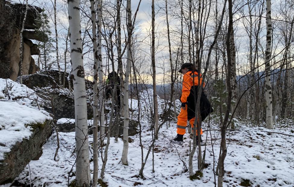  Пресс-служба "ЛизаАлерт"