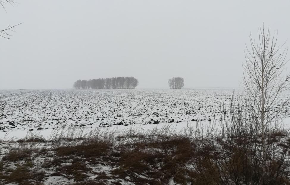  Алексей Петров/ ТАСС