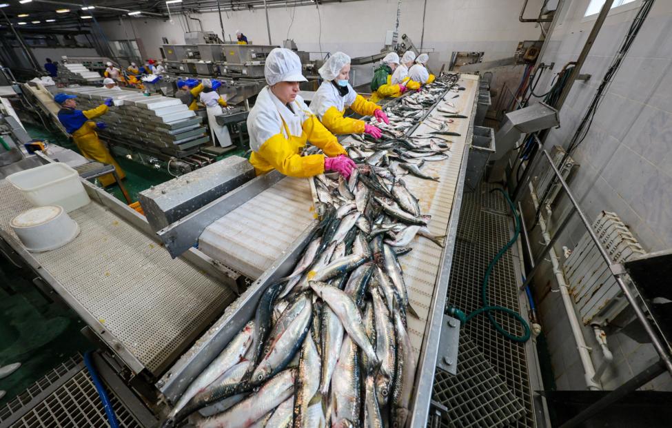  Юрий Смитюк/ ТАСС