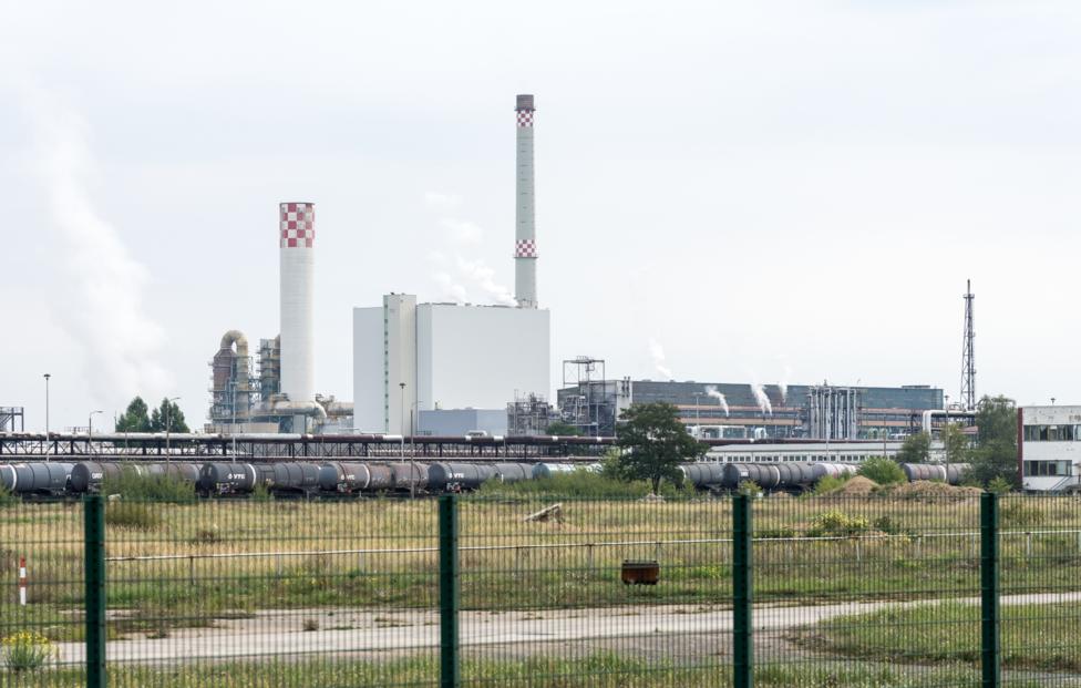 Sergey Kohl/ Shutterstock/ FOTODOM