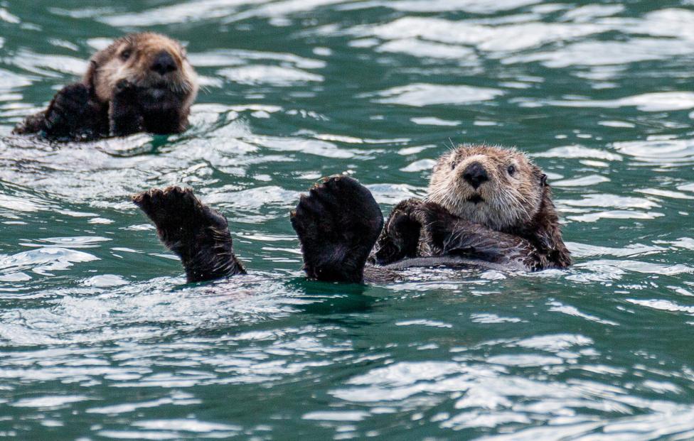  Елена Верещака/ ТАСС